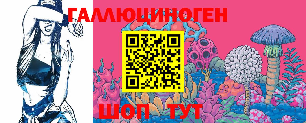 Псилоцибиновые грибы MAGIC MUSHROOMS  Вход с VPN  Назрань 