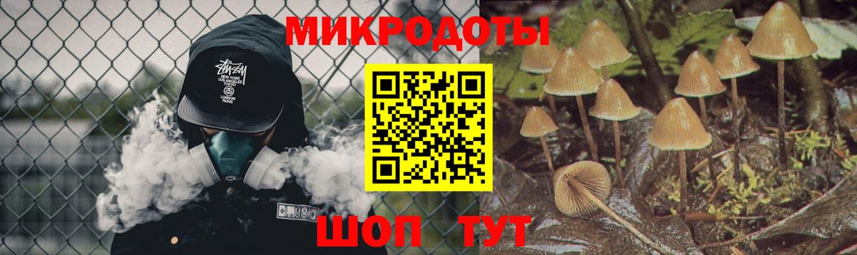 Псилоцибиновые грибы Psilocybine cubensis Назрань